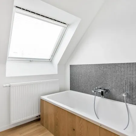 公寓 Exclusive Penthouse In 根特